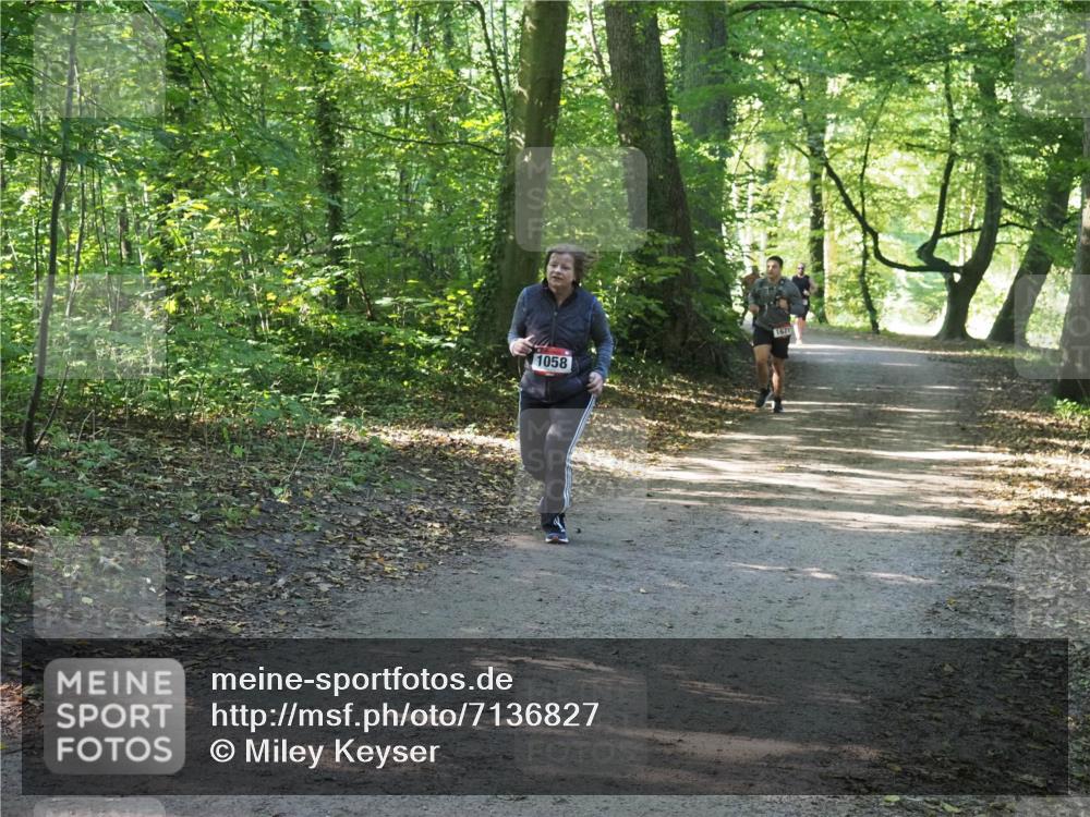 22.09.2024 - 32. Volkslauf durch das schöne Alstertal Miley Keyser http://msf.ph/oto/7136827 22.09.2024 10:25:14 Laufen 1058, 1671 meine-sportfotos.de