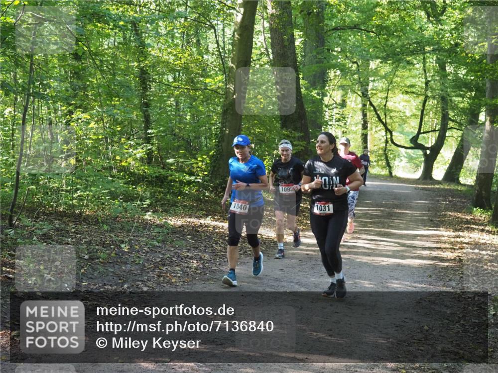 22.09.2024 - 32. Volkslauf durch das schöne Alstertal Miley Keyser http://msf.ph/oto/7136840 22.09.2024 10:25:04 Laufen 1040, 1092, 1031 meine-sportfotos.de
