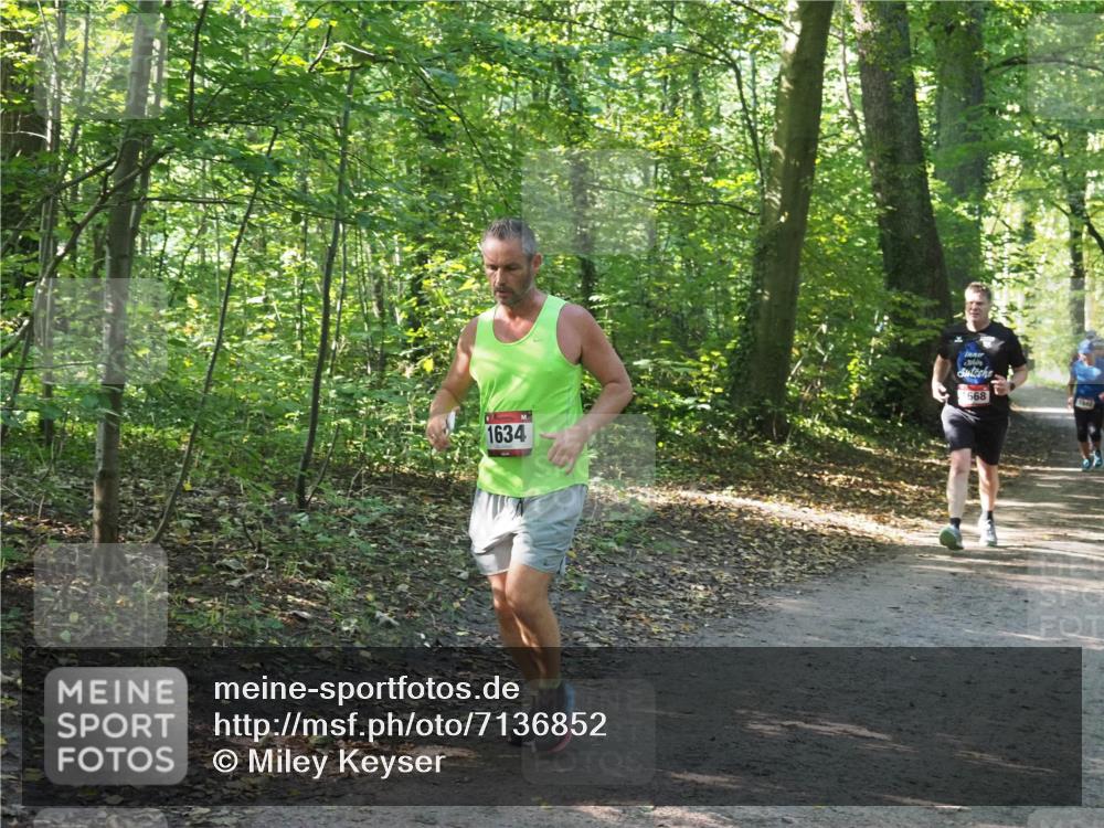 22.09.2024 - 32. Volkslauf durch das schöne Alstertal Miley Keyser http://msf.ph/oto/7136852 22.09.2024 10:24:59 Laufen 1634, 1668 meine-sportfotos.de