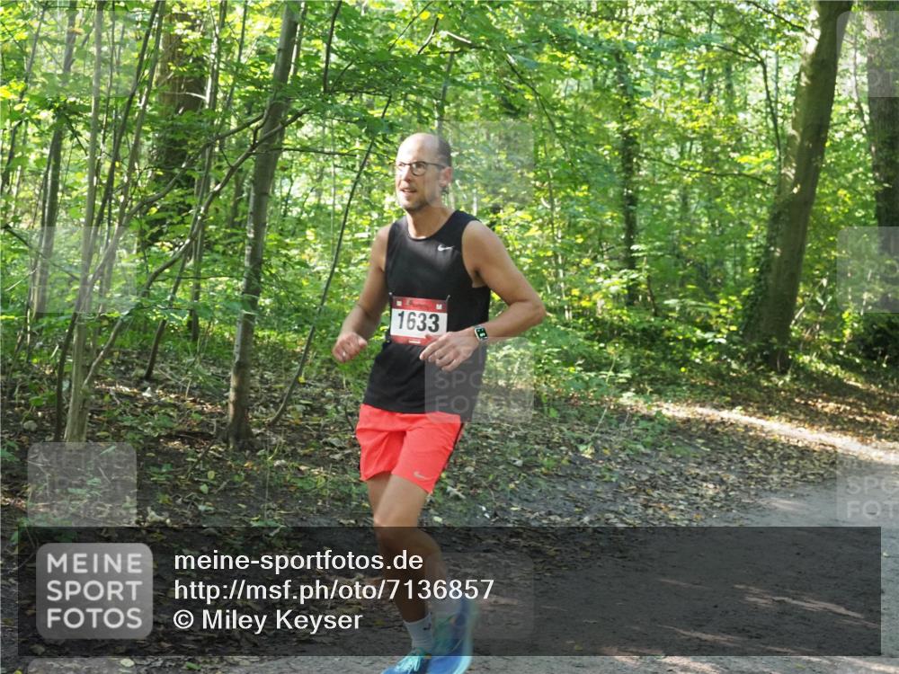 22.09.2024 - 32. Volkslauf durch das schöne Alstertal Miley Keyser http://msf.ph/oto/7136857 22.09.2024 10:24:54 Laufen 1633 meine-sportfotos.de