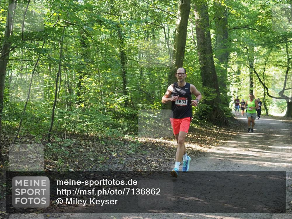 22.09.2024 - 32. Volkslauf durch das schöne Alstertal Miley Keyser http://msf.ph/oto/7136862 22.09.2024 10:24:53 Laufen 1633, 163 meine-sportfotos.de