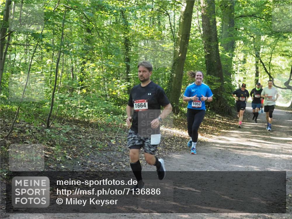 22.09.2024 - 32. Volkslauf durch das schöne Alstertal Miley Keyser http://msf.ph/oto/7136886 22.09.2024 10:24:45 Laufen 1589, 1061, 1635, 1664, 1052 meine-sportfotos.de