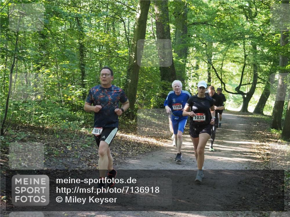 22.09.2024 - 32. Volkslauf durch das schöne Alstertal Miley Keyser http://msf.ph/oto/7136918 22.09.2024 10:24:36 Laufen 1651, 1710, 1035 meine-sportfotos.de