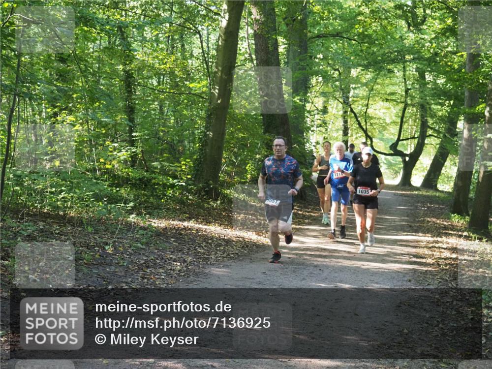 22.09.2024 - 32. Volkslauf durch das schöne Alstertal Miley Keyser http://msf.ph/oto/7136925 22.09.2024 10:24:35 Laufen 1651, 1716, 1035 meine-sportfotos.de