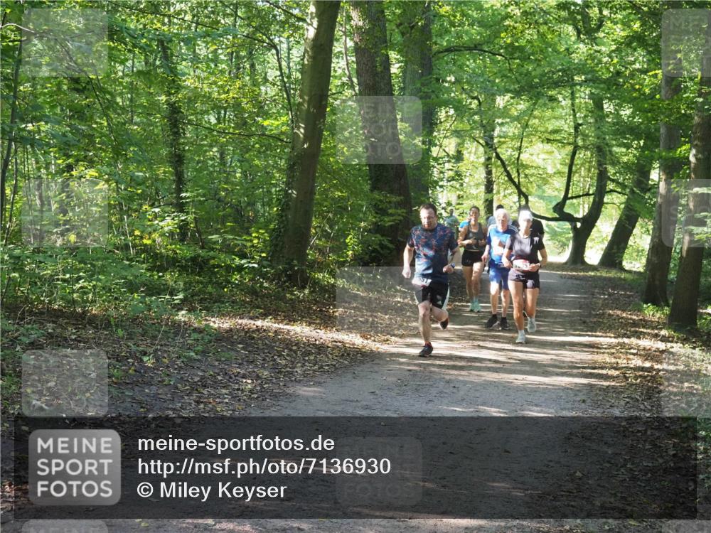 22.09.2024 - 32. Volkslauf durch das schöne Alstertal Miley Keyser http://msf.ph/oto/7136930 22.09.2024 10:24:34 Laufen  meine-sportfotos.de