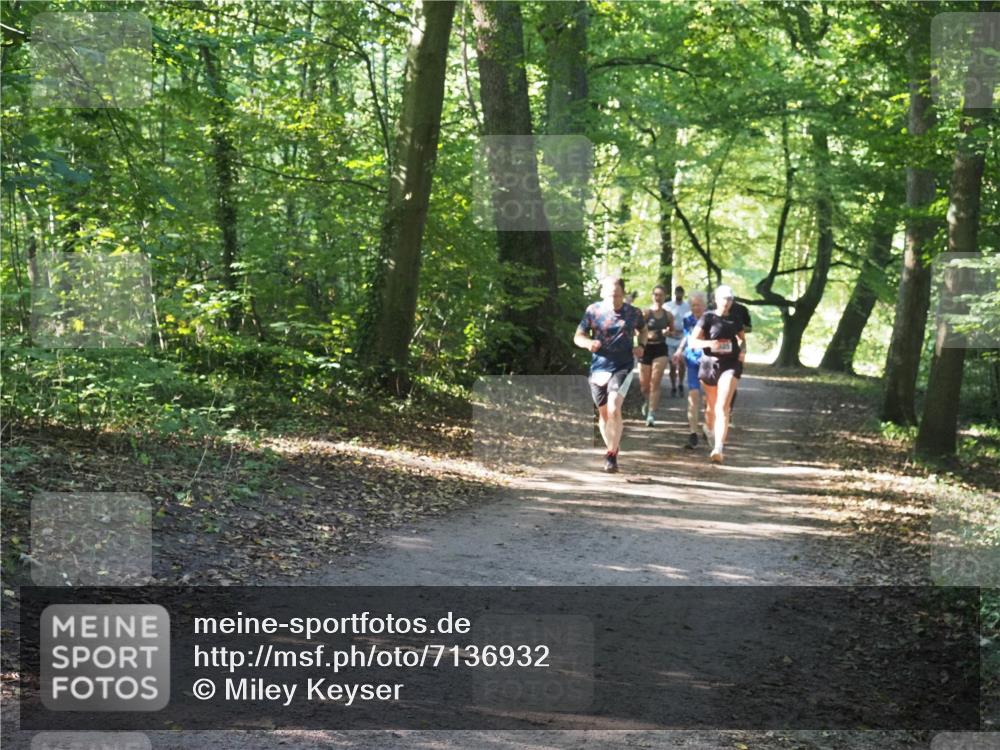 22.09.2024 - 32. Volkslauf durch das schöne Alstertal Miley Keyser http://msf.ph/oto/7136932 22.09.2024 10:24:34 Laufen  meine-sportfotos.de