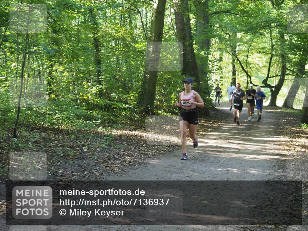 22.09.2024 - 32. Volkslauf durch das schöne Alstertal Miley Keyser http://msf.ph/oto/7136937 22.09.2024 10:24:31 Laufen 1025 meine-sportfotos.de