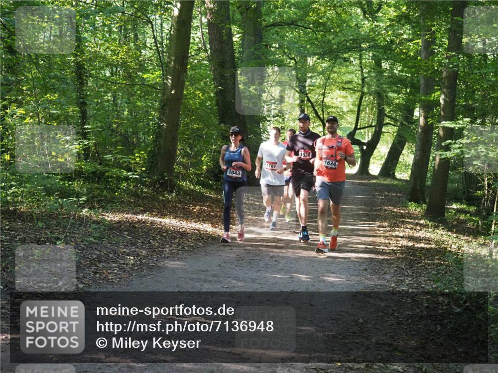 22.09.2024 - 32. Volkslauf durch das schöne Alstertal Miley Keyser http://msf.ph/oto/7136948 22.09.2024 10:24:26 Laufen 1043, 1707, 1630, 1624 meine-sportfotos.de