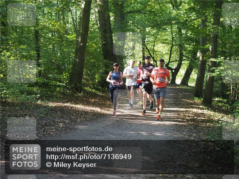 22.09.2024 - 32. Volkslauf durch das schöne Alstertal Miley Keyser http://msf.ph/oto/7136949 22.09.2024 10:24:25 Laufen 043, 1707, 1624 meine-sportfotos.de