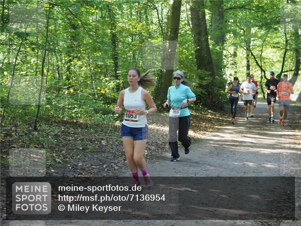 22.09.2024 - 32. Volkslauf durch das schöne Alstertal Miley Keyser http://msf.ph/oto/7136954 22.09.2024 10:24:23 Laufen 055, 1053, 707, 1043, 30, 1624 meine-sportfotos.de