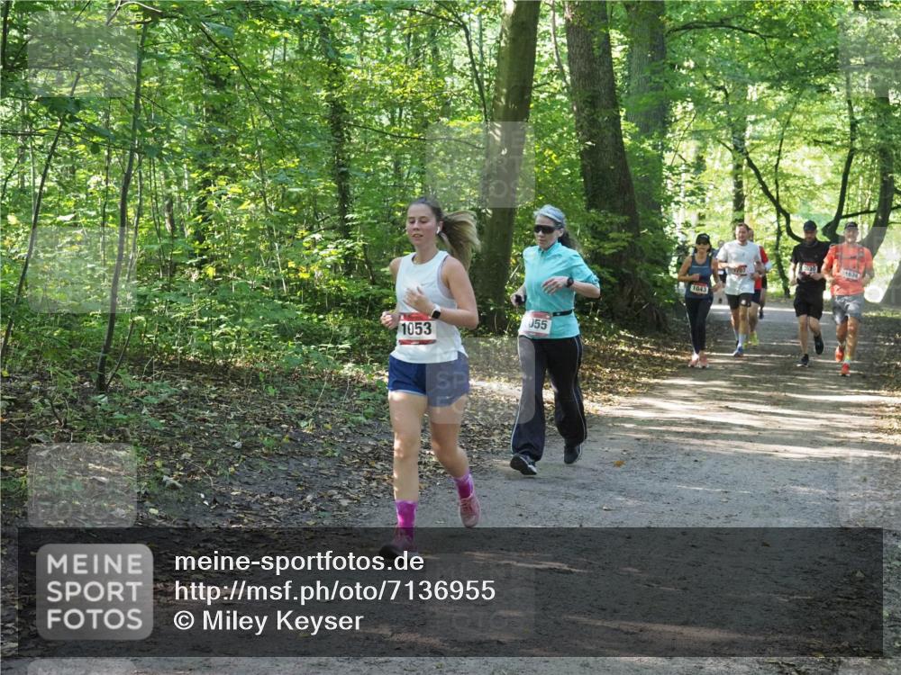 22.09.2024 - 32. Volkslauf durch das schöne Alstertal Miley Keyser http://msf.ph/oto/7136955 22.09.2024 10:24:23 Laufen 1053, 055, 1043, 707, 1624 meine-sportfotos.de