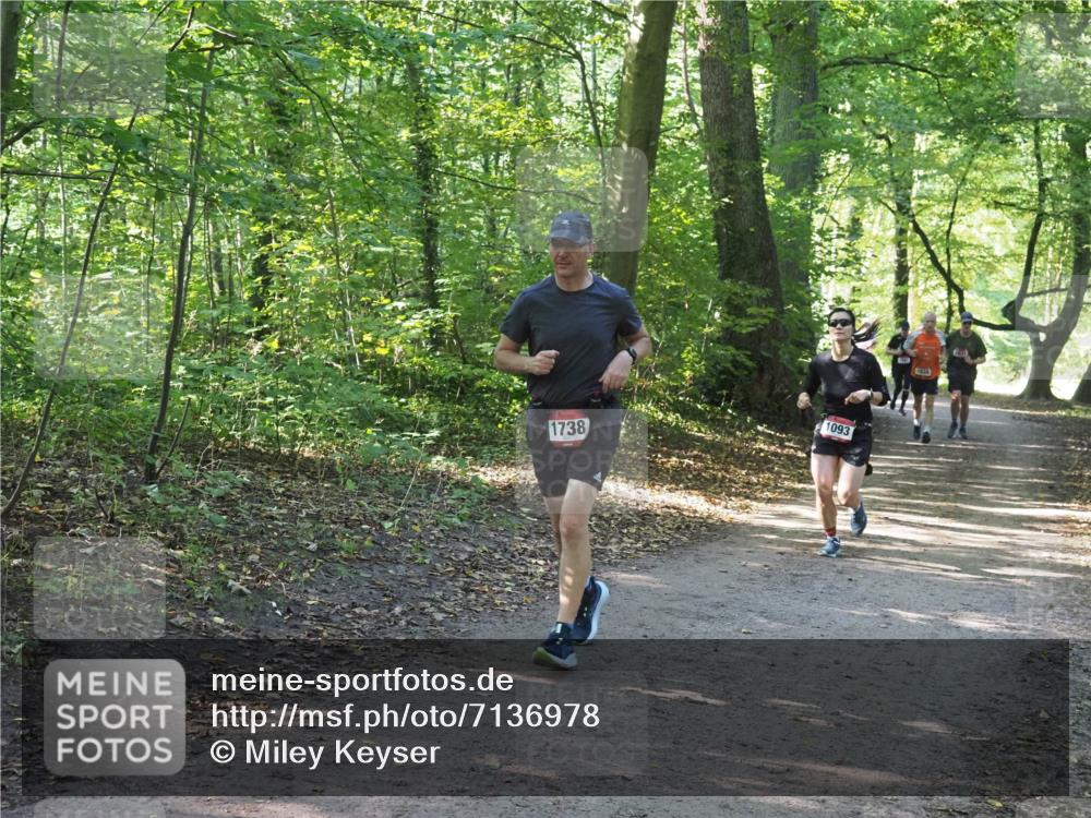 22.09.2024 - 32. Volkslauf durch das schöne Alstertal Miley Keyser http://msf.ph/oto/7136978 22.09.2024 10:24:07 Laufen 1738, 1093 meine-sportfotos.de