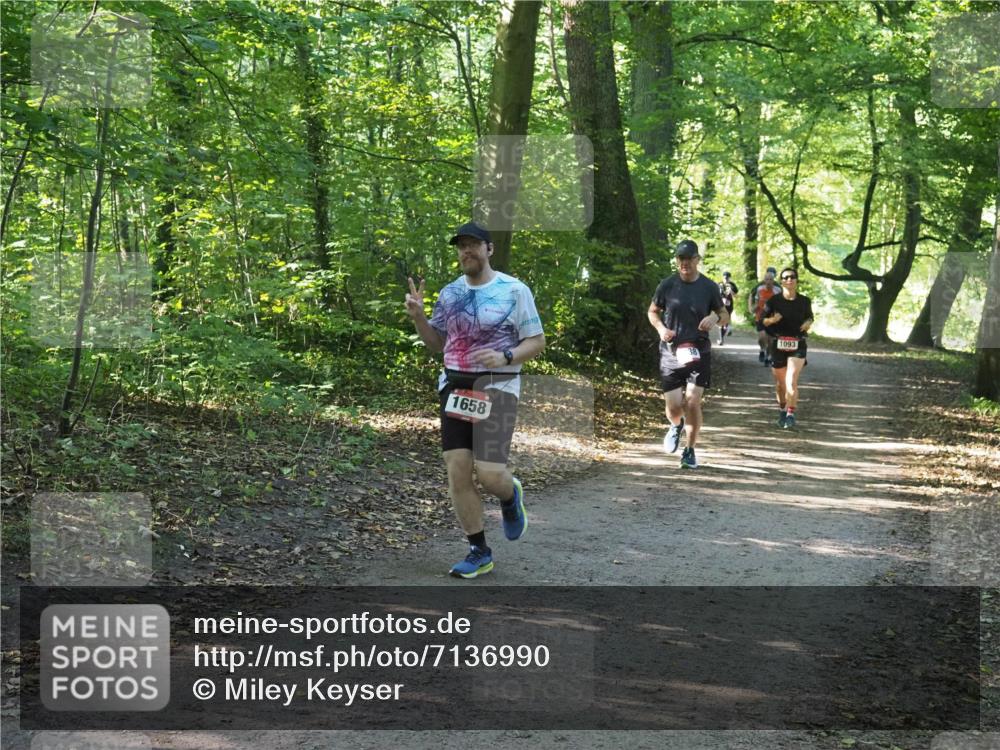 22.09.2024 - 32. Volkslauf durch das schöne Alstertal Miley Keyser http://msf.ph/oto/7136990 22.09.2024 10:24:05 Laufen 1658, 1093 meine-sportfotos.de