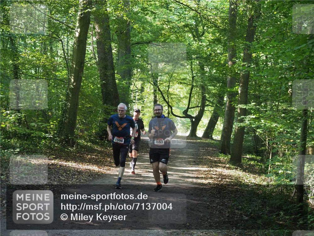 22.09.2024 - 32. Volkslauf durch das schöne Alstertal Miley Keyser http://msf.ph/oto/7137004 22.09.2024 10:23:59 Laufen 1598, 1653 meine-sportfotos.de