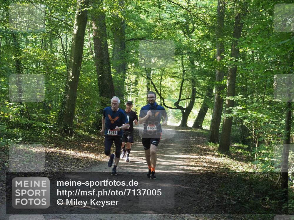 22.09.2024 - 32. Volkslauf durch das schöne Alstertal Miley Keyser http://msf.ph/oto/7137005 22.09.2024 10:23:59 Laufen 1598, 1653 meine-sportfotos.de