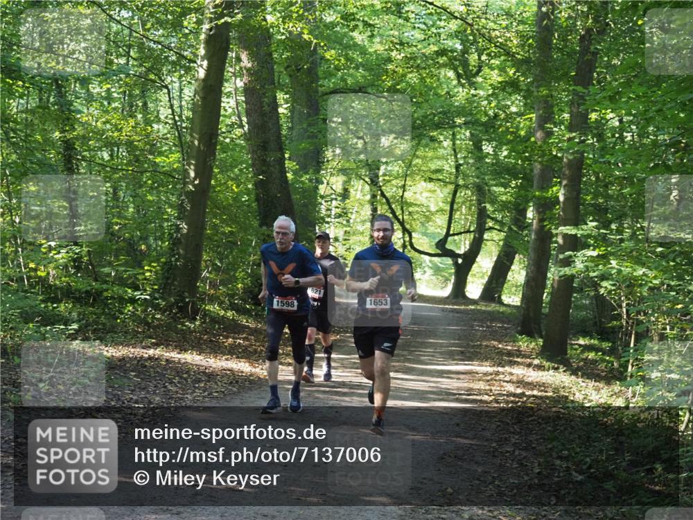 22.09.2024 - 32. Volkslauf durch das schöne Alstertal Miley Keyser http://msf.ph/oto/7137006 22.09.2024 10:23:59 Laufen 1598, 1653 meine-sportfotos.de