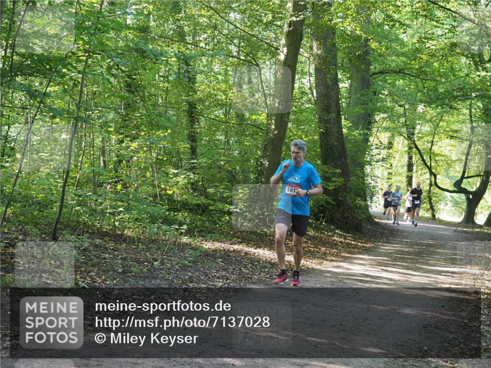 22.09.2024 - 32. Volkslauf durch das schöne Alstertal Miley Keyser http://msf.ph/oto/7137028 22.09.2024 10:23:42 Laufen 161 meine-sportfotos.de