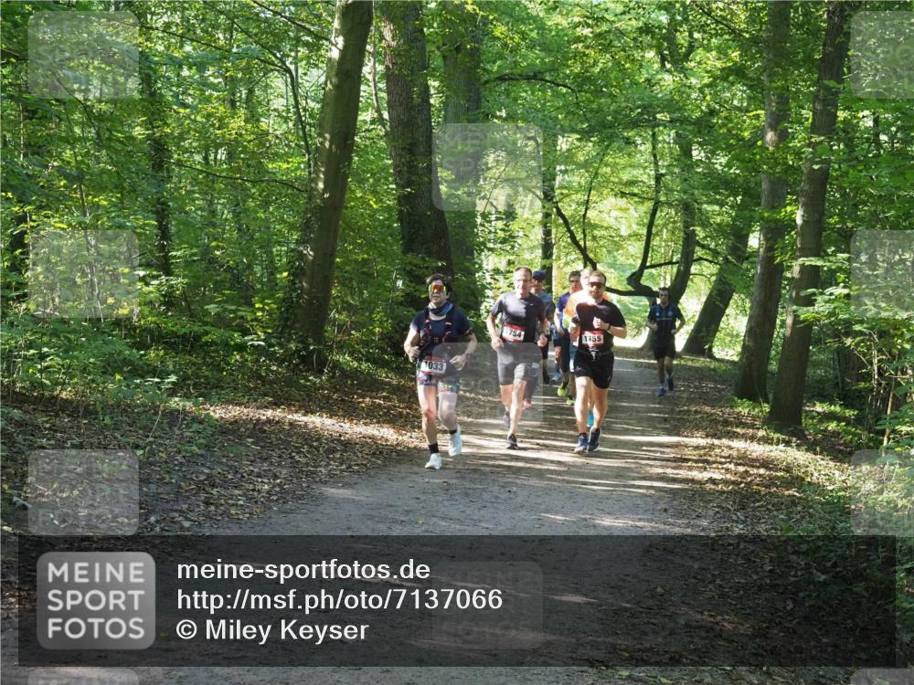 22.09.2024 - 32. Volkslauf durch das schöne Alstertal Miley Keyser http://msf.ph/oto/7137066 22.09.2024 10:23:32 Laufen 1033, 1754, 1755 meine-sportfotos.de