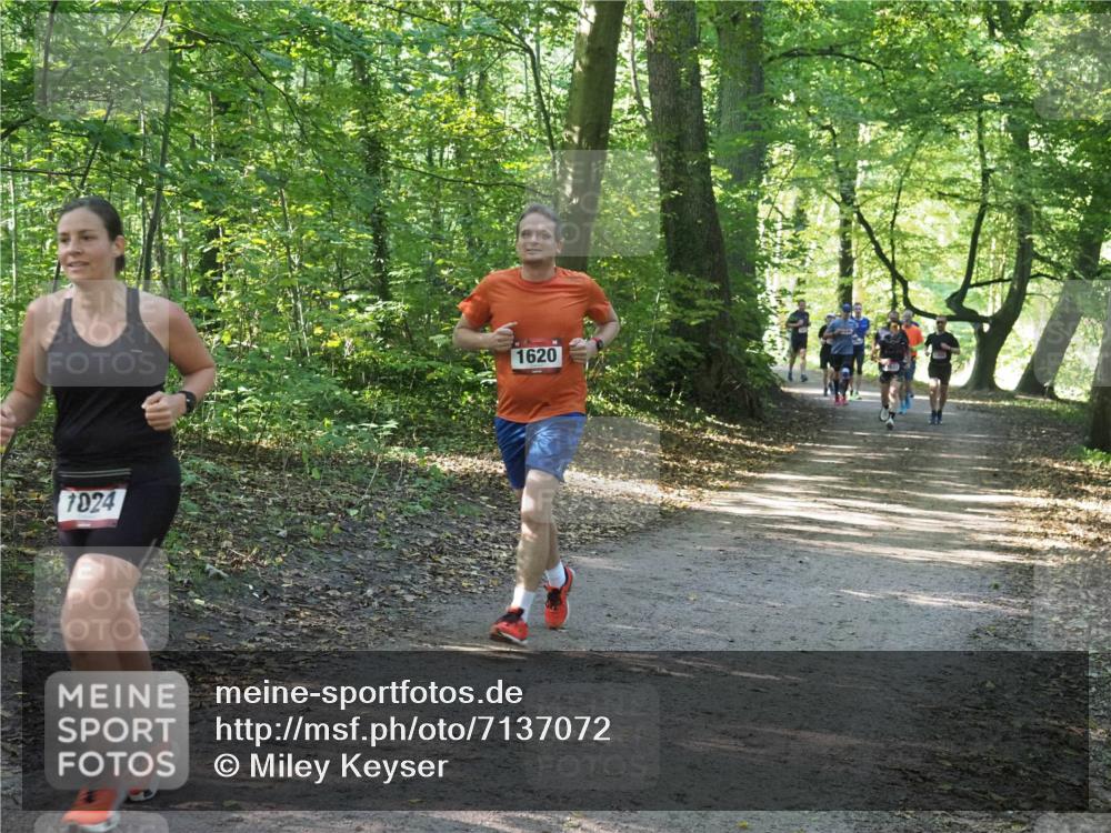 22.09.2024 - 32. Volkslauf durch das schöne Alstertal Miley Keyser http://msf.ph/oto/7137072 22.09.2024 10:23:27 Laufen 7024, 1620 meine-sportfotos.de