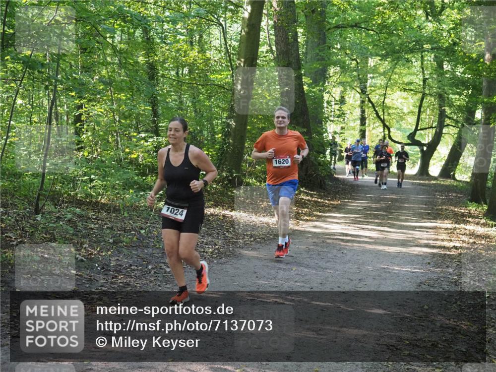 22.09.2024 - 32. Volkslauf durch das schöne Alstertal Miley Keyser http://msf.ph/oto/7137073 22.09.2024 10:23:26 Laufen 1024, 1620 meine-sportfotos.de