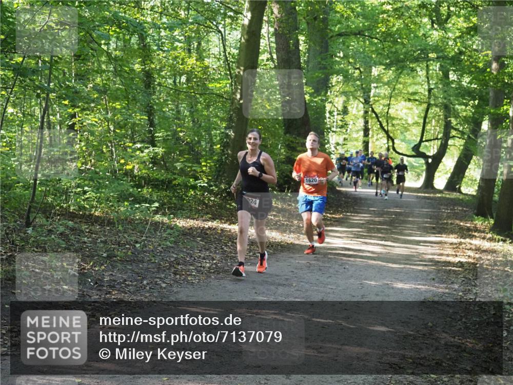 22.09.2024 - 32. Volkslauf durch das schöne Alstertal Miley Keyser http://msf.ph/oto/7137079 22.09.2024 10:23:25 Laufen 1620 meine-sportfotos.de