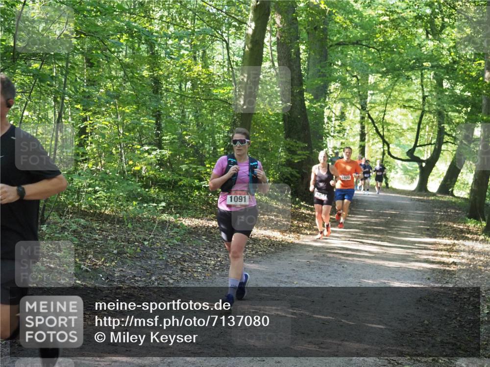22.09.2024 - 32. Volkslauf durch das schöne Alstertal Miley Keyser http://msf.ph/oto/7137080 22.09.2024 10:23:24 Laufen 1091, 1024, 1620 meine-sportfotos.de