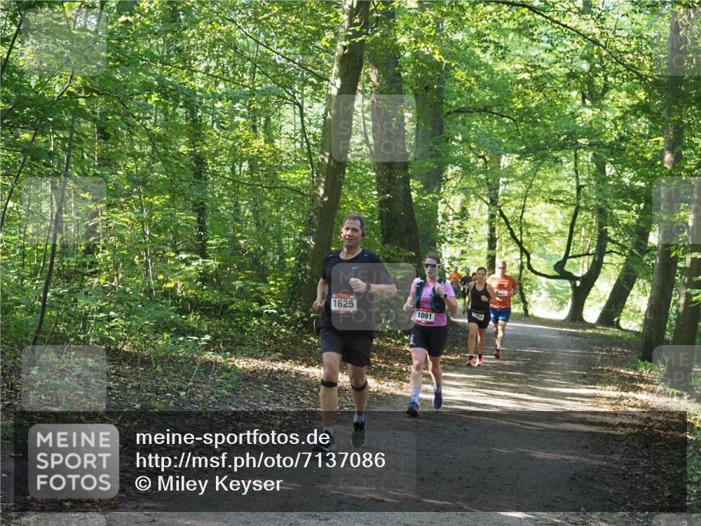 22.09.2024 - 32. Volkslauf durch das schöne Alstertal Miley Keyser http://msf.ph/oto/7137086 22.09.2024 10:23:22 Laufen 1625, 1091, 24, 20 meine-sportfotos.de