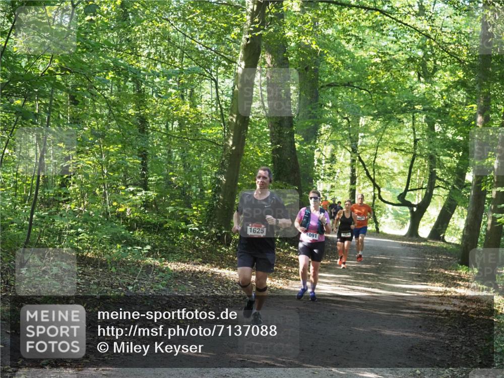 22.09.2024 - 32. Volkslauf durch das schöne Alstertal Miley Keyser http://msf.ph/oto/7137088 22.09.2024 10:23:22 Laufen 1625, 1091, 1024, 620 meine-sportfotos.de