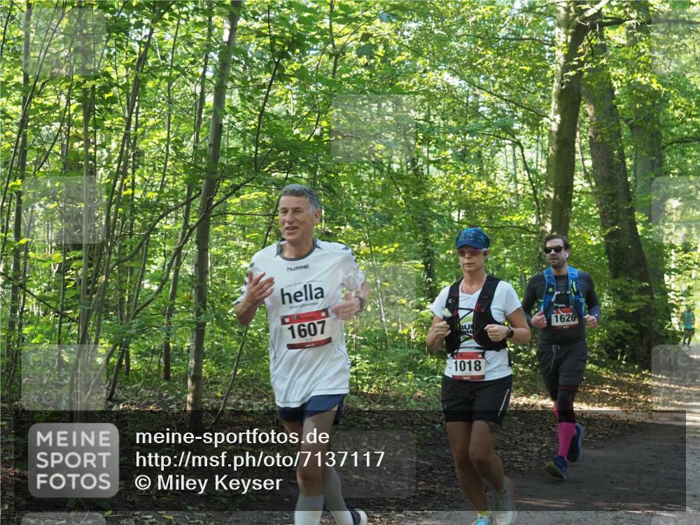 22.09.2024 - 32. Volkslauf durch das schöne Alstertal Miley Keyser http://msf.ph/oto/7137117 22.09.2024 10:22:59 Laufen 10, 1607, 1018, 1626 meine-sportfotos.de