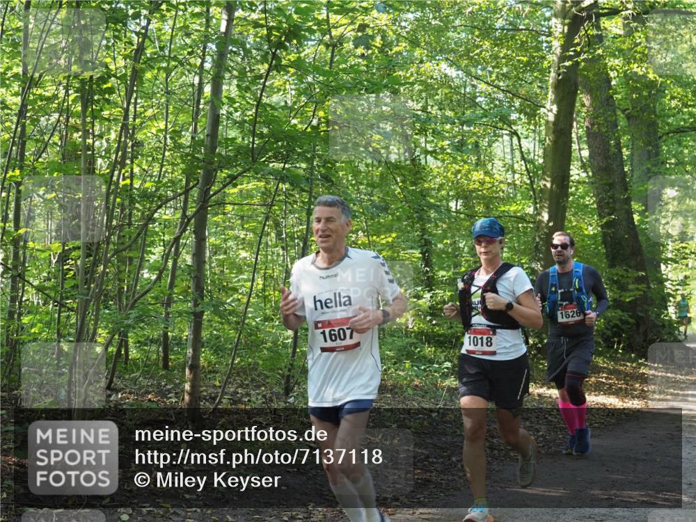 22.09.2024 - 32. Volkslauf durch das schöne Alstertal Miley Keyser http://msf.ph/oto/7137118 22.09.2024 10:22:59 Laufen 1607, 1018, 1626 meine-sportfotos.de