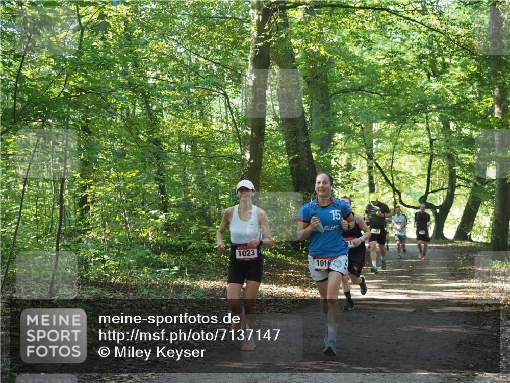 22.09.2024 - 32. Volkslauf durch das schöne Alstertal Miley Keyser http://msf.ph/oto/7137147 22.09.2024 10:22:50 Laufen 15, 1023, 1016, 1643 meine-sportfotos.de