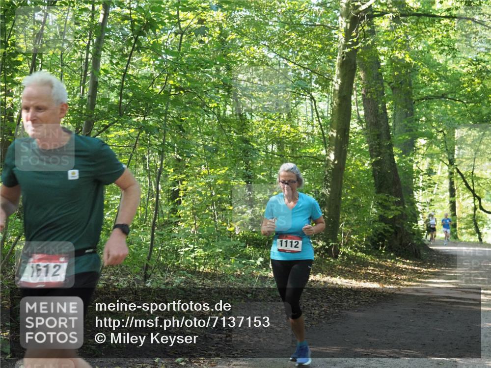 22.09.2024 - 32. Volkslauf durch das schöne Alstertal Miley Keyser http://msf.ph/oto/7137153 22.09.2024 10:22:38 Laufen 1612, 1112 meine-sportfotos.de