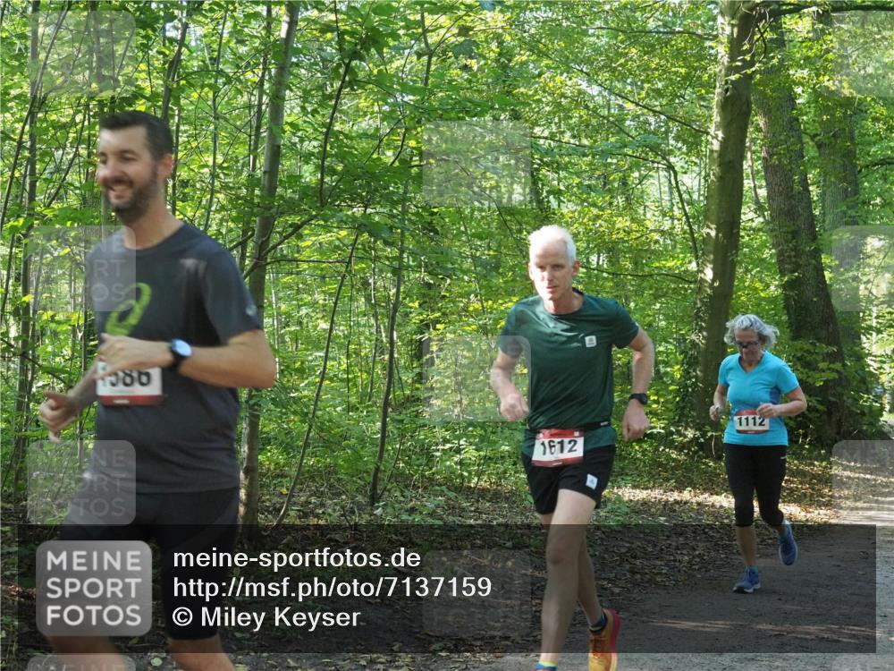 22.09.2024 - 32. Volkslauf durch das schöne Alstertal Miley Keyser http://msf.ph/oto/7137159 22.09.2024 10:22:37 Laufen 1380, 1612, 1112 meine-sportfotos.de