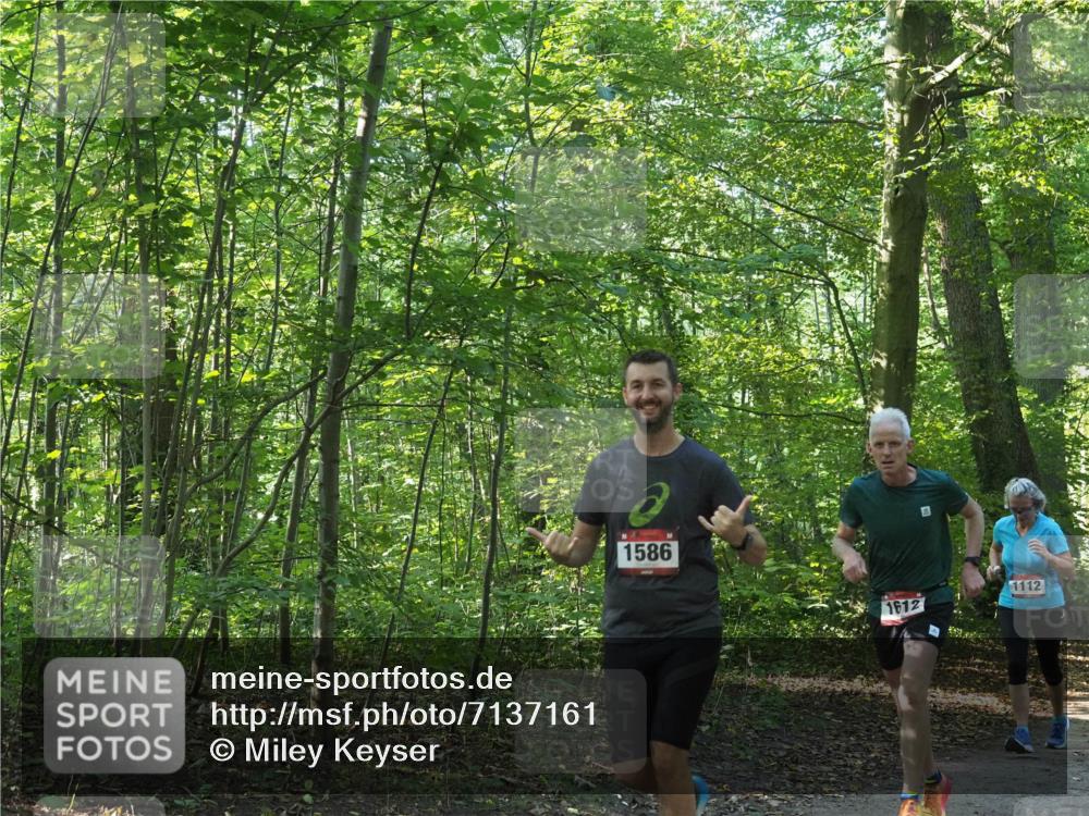 22.09.2024 - 32. Volkslauf durch das schöne Alstertal Miley Keyser http://msf.ph/oto/7137161 22.09.2024 10:22:36 Laufen 1586, 1612, 1112 meine-sportfotos.de