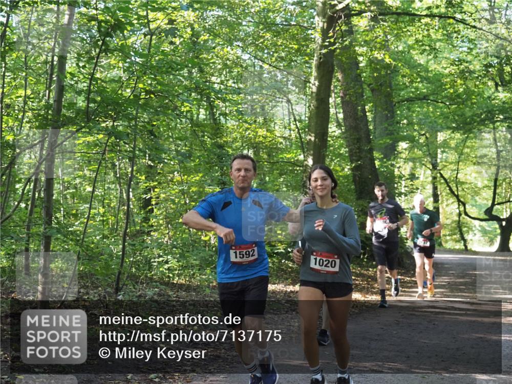 22.09.2024 - 32. Volkslauf durch das schöne Alstertal Miley Keyser http://msf.ph/oto/7137175 22.09.2024 10:22:34 Laufen 1592, 1020 meine-sportfotos.de