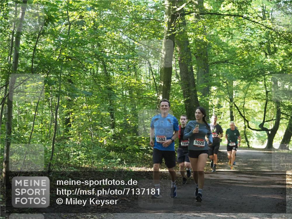 22.09.2024 - 32. Volkslauf durch das schöne Alstertal Miley Keyser http://msf.ph/oto/7137181 22.09.2024 10:22:33 Laufen 1592, 1596, 1020, 586, 1612 meine-sportfotos.de