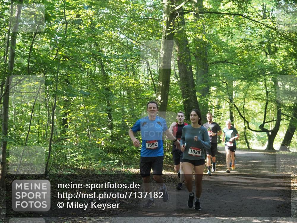 22.09.2024 - 32. Volkslauf durch das schöne Alstertal Miley Keyser http://msf.ph/oto/7137182 22.09.2024 10:22:33 Laufen 1592, 1020 meine-sportfotos.de