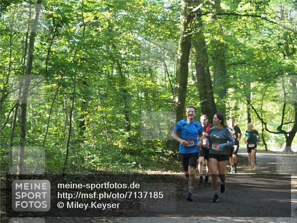 22.09.2024 - 32. Volkslauf durch das schöne Alstertal Miley Keyser http://msf.ph/oto/7137185 22.09.2024 10:22:32 Laufen 592, 102 meine-sportfotos.de