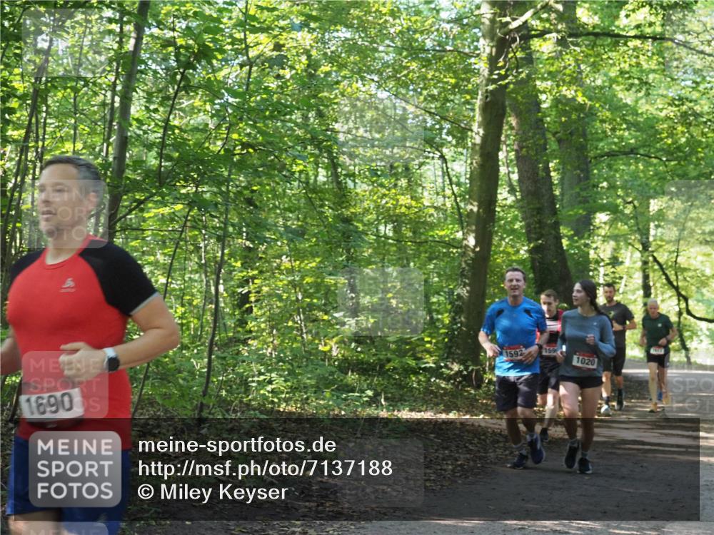 22.09.2024 - 32. Volkslauf durch das schöne Alstertal Miley Keyser http://msf.ph/oto/7137188 22.09.2024 10:22:32 Laufen 1690, 1592, 1020 meine-sportfotos.de