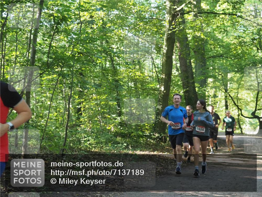 22.09.2024 - 32. Volkslauf durch das schöne Alstertal Miley Keyser http://msf.ph/oto/7137189 22.09.2024 10:22:32 Laufen 1592, 159, 1020, 1913 meine-sportfotos.de