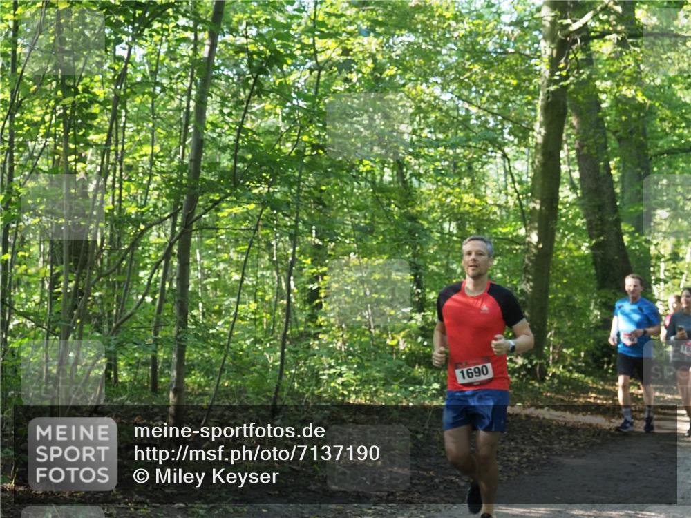 22.09.2024 - 32. Volkslauf durch das schöne Alstertal Miley Keyser http://msf.ph/oto/7137190 22.09.2024 10:22:31 Laufen 1690, 10 meine-sportfotos.de