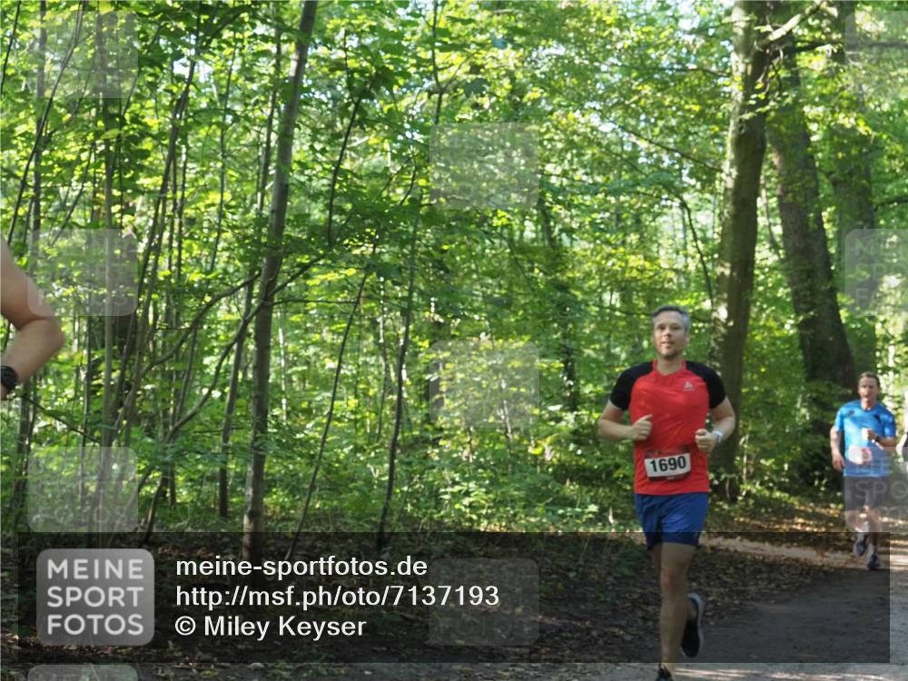 22.09.2024 - 32. Volkslauf durch das schöne Alstertal Miley Keyser http://msf.ph/oto/7137193 22.09.2024 10:22:31 Laufen 1690 meine-sportfotos.de