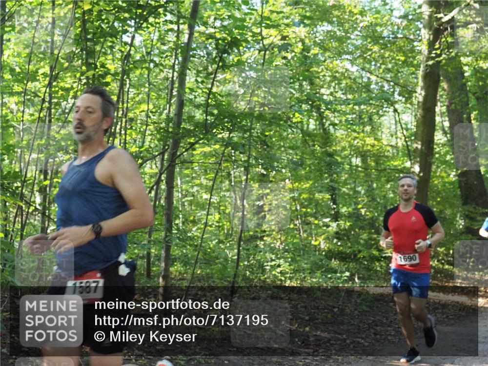 22.09.2024 - 32. Volkslauf durch das schöne Alstertal Miley Keyser http://msf.ph/oto/7137195 22.09.2024 10:22:31 Laufen 1587, 1690 meine-sportfotos.de