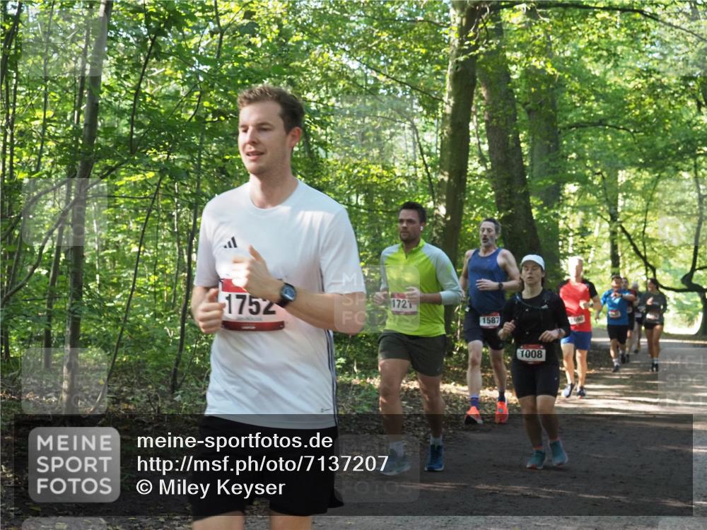 22.09.2024 - 32. Volkslauf durch das schöne Alstertal Miley Keyser http://msf.ph/oto/7137207 22.09.2024 10:22:28 Laufen 1752, 172, 1587, 1008 meine-sportfotos.de