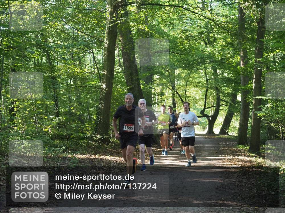 22.09.2024 - 32. Volkslauf durch das schöne Alstertal Miley Keyser http://msf.ph/oto/7137224 22.09.2024 10:22:25 Laufen 1595, 1721, 158 meine-sportfotos.de