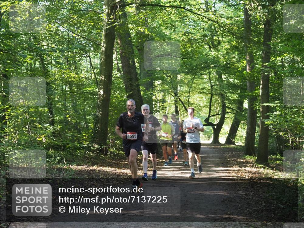 22.09.2024 - 32. Volkslauf durch das schöne Alstertal Miley Keyser http://msf.ph/oto/7137225 22.09.2024 10:22:25 Laufen 1595, 11587, 752 meine-sportfotos.de