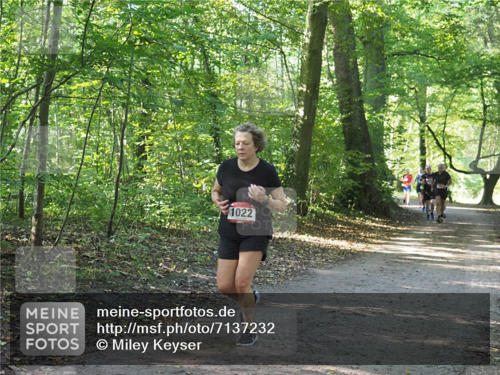 22.09.2024 - 32. Volkslauf durch das schöne Alstertal Miley Keyser http://msf.ph/oto/7137232 22.09.2024 10:22:20 Laufen 1022 meine-sportfotos.de