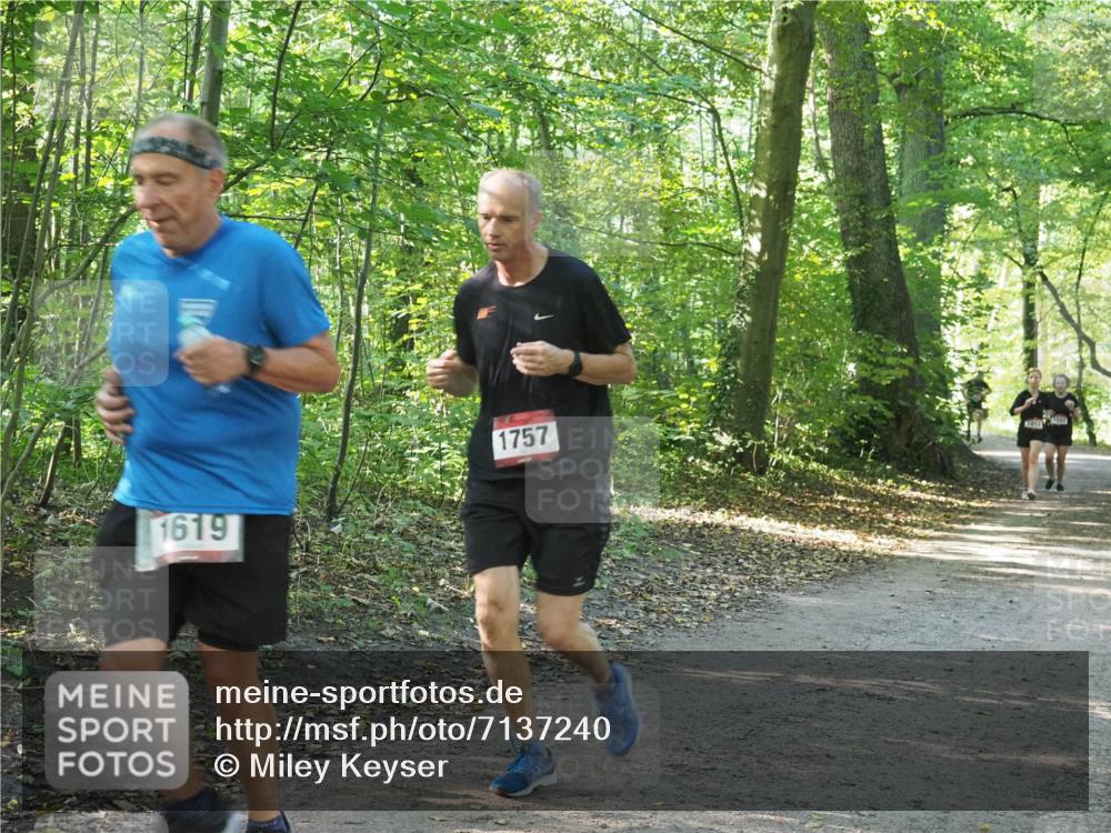 22.09.2024 - 32. Volkslauf durch das schöne Alstertal Miley Keyser http://msf.ph/oto/7137240 22.09.2024 10:22:13 Laufen 1619, 1757 meine-sportfotos.de