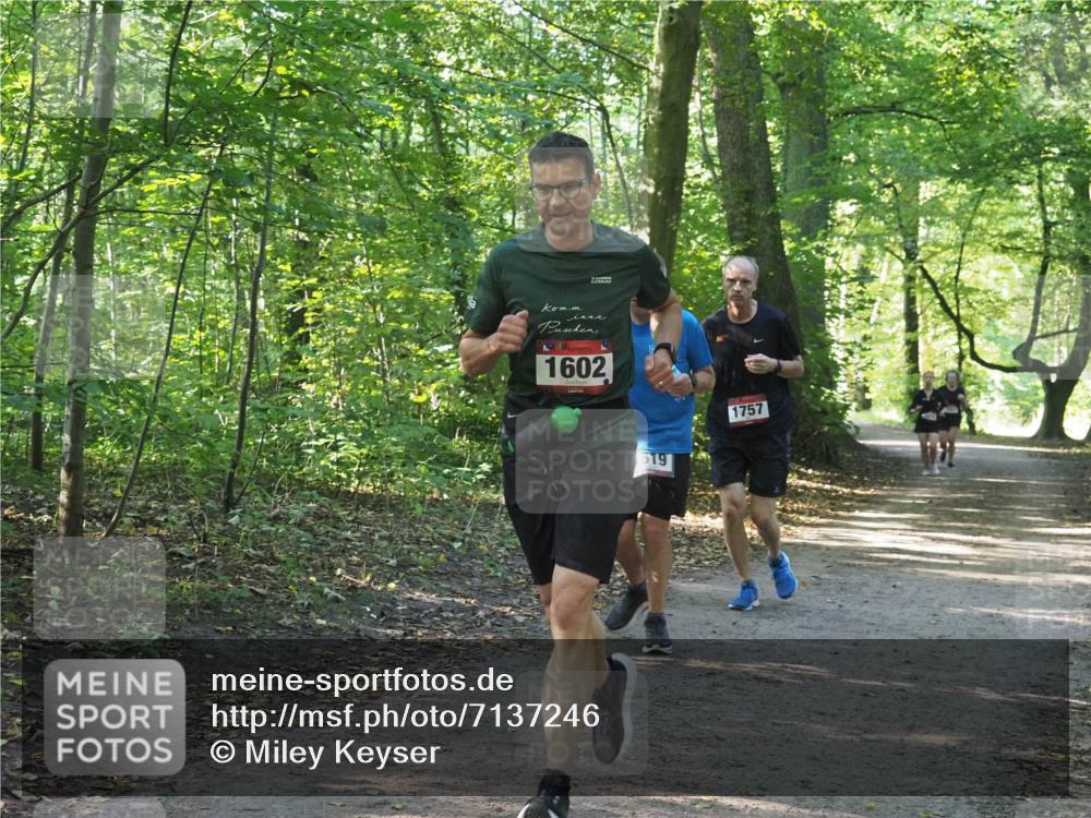 22.09.2024 - 32. Volkslauf durch das schöne Alstertal Miley Keyser http://msf.ph/oto/7137246 22.09.2024 10:22:11 Laufen 1602, 619, 1757 meine-sportfotos.de