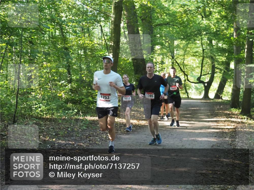 22.09.2024 - 32. Volkslauf durch das schöne Alstertal Miley Keyser http://msf.ph/oto/7137257 22.09.2024 10:22:08 Laufen 1753, 1013, 1585, 1602 meine-sportfotos.de